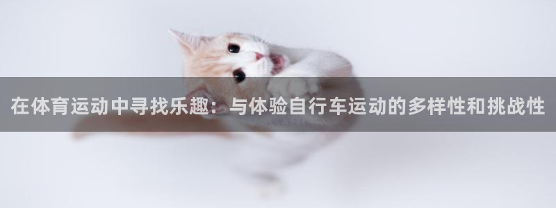 海南JJB竞技宝官网下载发展怎么样：在体育运动中寻找