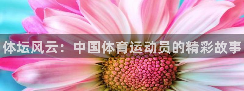 JJB竞技宝官网下载平台是正规平台吗安全吗：体坛风云