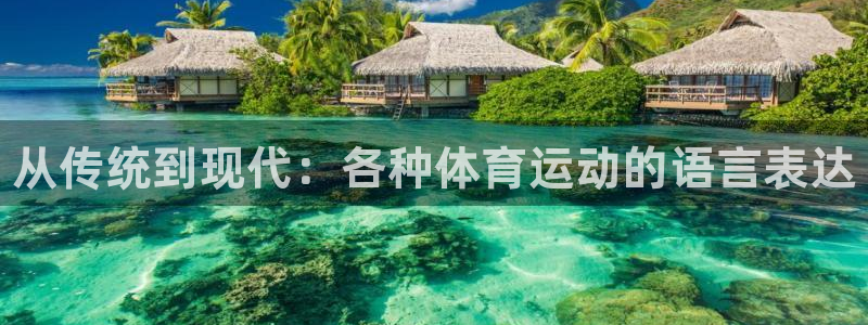 JJB竞技宝官方平台体育：从传统到现代：各种体育运动