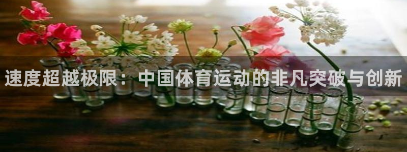 JJB竞技宝官方正版app五金厂：速度超越极限：中国