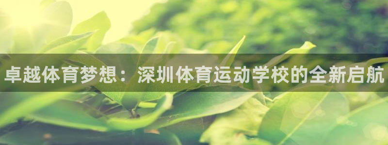 JJB竞技宝官网下载娱乐：卓越体育梦想：深圳体育运动