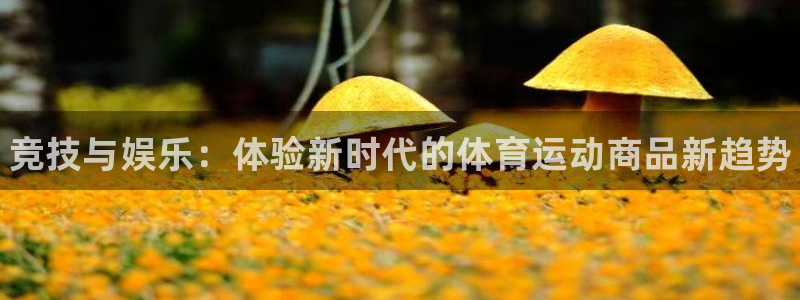 JJB竞技宝官方正版app娱乐网站：竞技与娱乐：体验