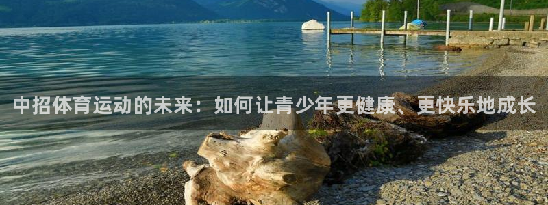 JJB竞技宝官方正版app集团官网首页：中招体育运动