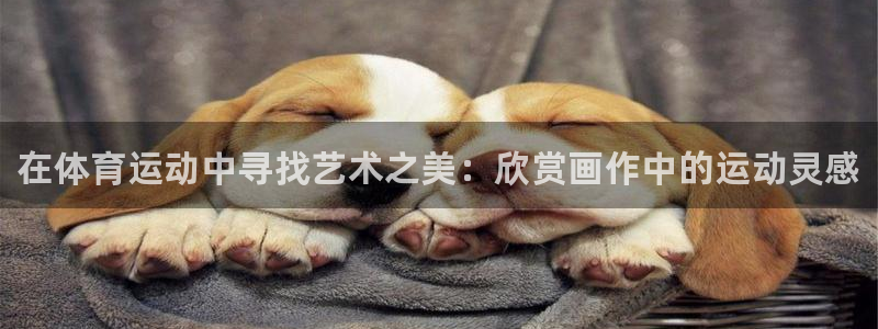JJB竞技宝官方正版app开户：在体育运动中寻找艺术