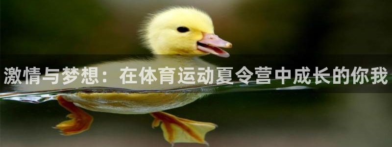 JJB竞技宝官方正版app集团logo：激情与梦想：