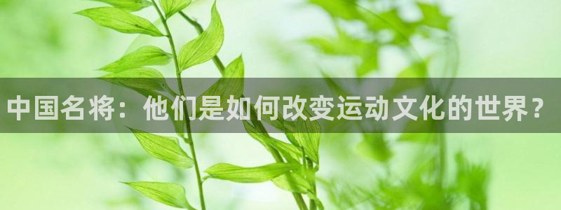 海南JJB竞技宝官网下载