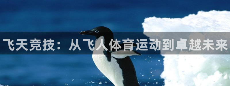 JJB竞技宝官方正版app集团简介：飞天竞技：从飞人体育运动