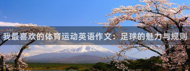 JJB竞技宝官网下载注册：我最喜欢的体育运动英语作文：足球的