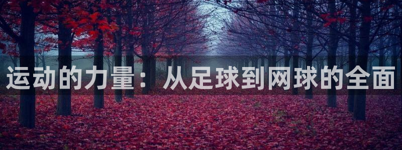 JJB竞技宝官网下载招商电话号码查询：运动的力量：从