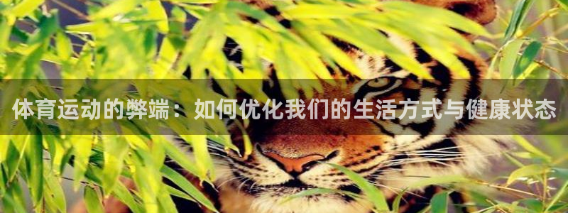 JJB竞技宝官网下载平台是正规平台吗：体育运动的弊端
