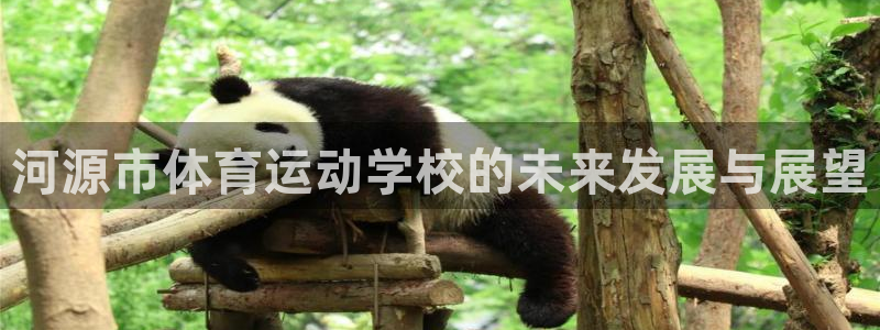 JJB竞技宝官方集团官网：河源市体育运动学校的未来发
