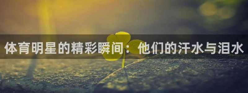 海南JJB竞技宝官网下载发展怎么样：体育明星的精彩瞬