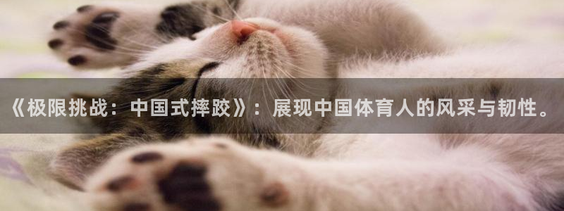 JJB竞技宝官方正版app新能源：《极限挑战：中国式