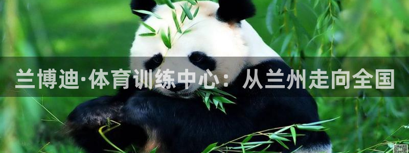 JJB竞技宝官网下载招商电话是多少号码：兰博迪·体育