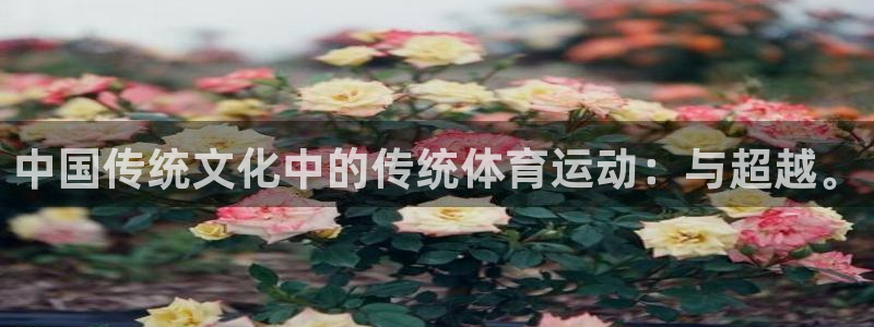 JJB竞技宝官网下载联系电话：中国传统文化中的传统体