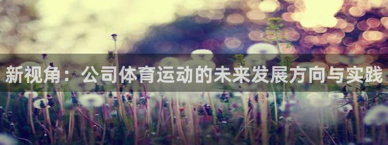 JJB竞技宝官方正版app娱乐下载：新视角：公司体育