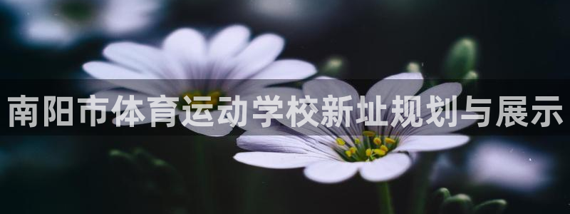 JJB竞技宝官方正版app集团官网网址