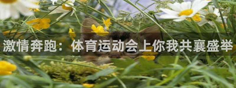 JJB竞技宝官方正版app集团官网首页：激情奔跑：体育运动会