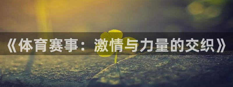 JJB竞技宝官方正版app官方：《体育赛事：激情与力量的交织
