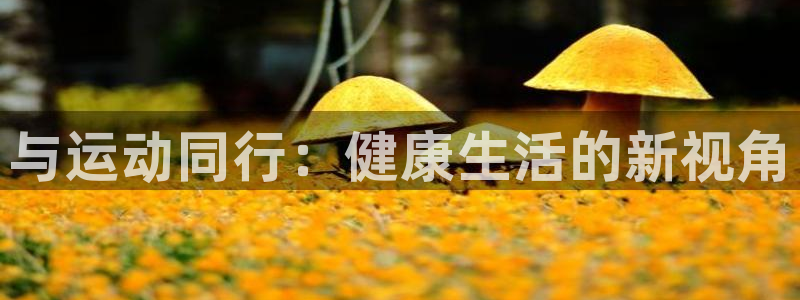 JJB竞技宝官网下载平台注册流程图：与运动同行：健康生活的新