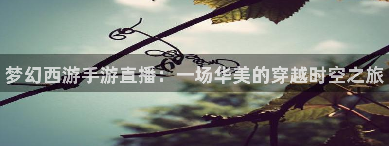 熊猫体育直播体验升级版.苹果进.org