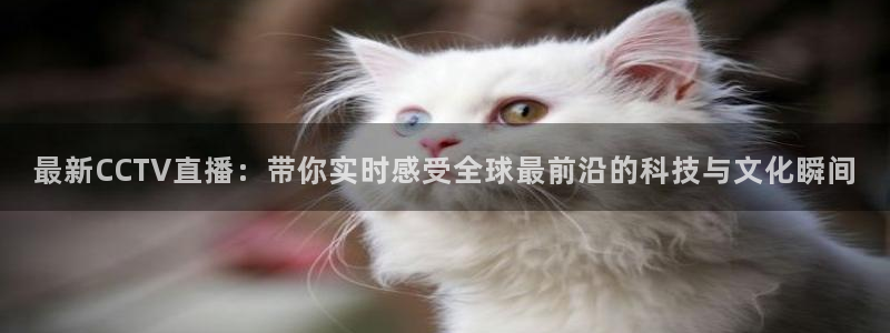 熊猫体育直播下载：最新CCTV直播：带你实时感受全球最前沿的科技与文化瞬间