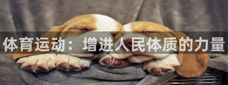 竞技宝下载地址查询：体育运动：增进人