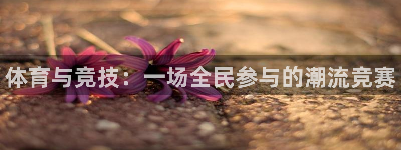 竞技宝客服电话多少号：体育与竞技：一