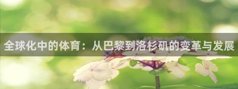 竞技宝门户网站