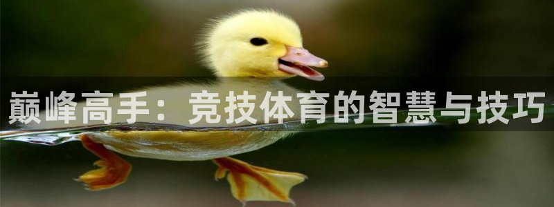 JJB竞技宝客服：巅峰高手：竞技体育