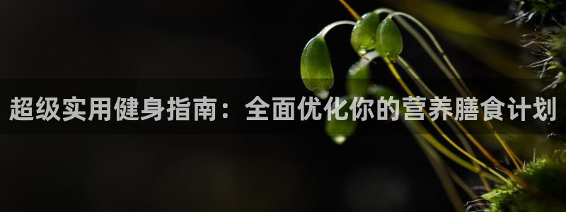  竞技宝app最新下载安装：超级实用健身指南：全面优化你的营养
