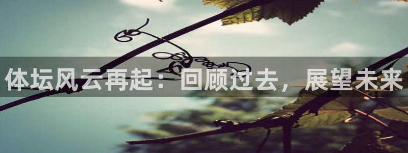 竞技宝是正规的吗：体坛风云再起：回顾