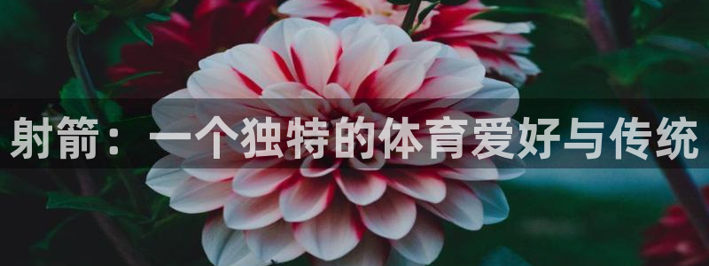 竞技宝怎么样：射箭：一个独特的体育爱好与传统