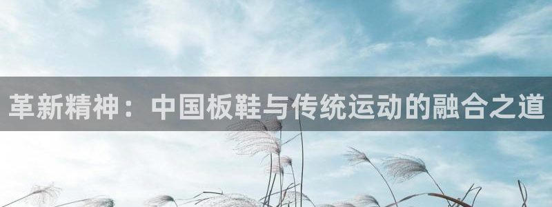  JJB竞技宝官方正版下载：革新精神：中国板鞋与传统运动的融合