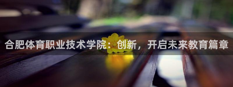 竞技宝登录入口官网：合肥体育职业技术