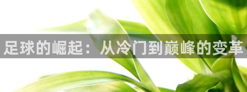 竞技宝测速站的网址：足球的崛起：从冷门到巅峰的变革