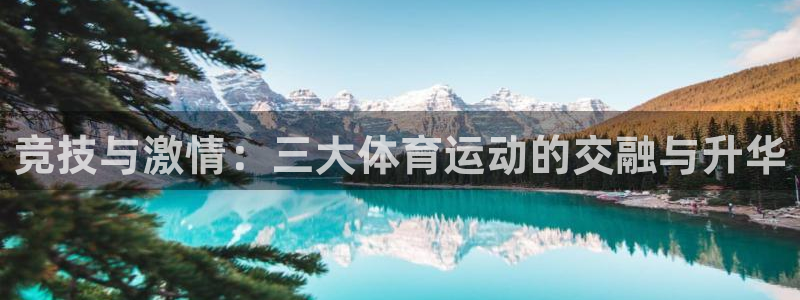  竞技宝官网网页版：竞技与激情：三大体育运动的交融与升华