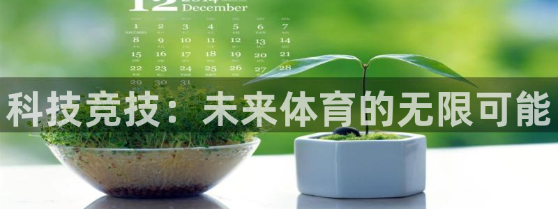 竞技宝app下载安装苹果