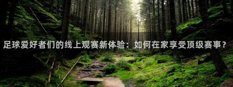 熊猫的：足球爱好者们的线上观赛新体验：如何在家享受顶级赛事？